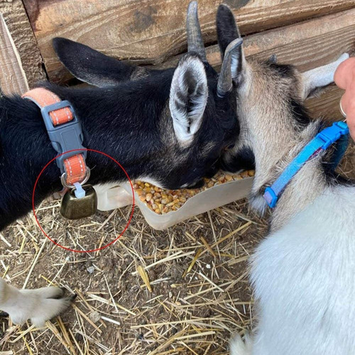16 Campanas Pequeñas De Latón Para Vacas, Caballos Y Ovejas