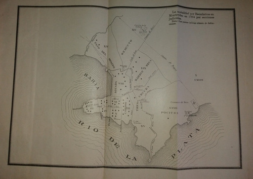 Antiguo Mapa De Montevideo Mortalidad Por Escarlatina 1894