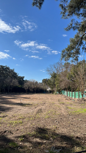 Terreno En Venta: ¡financiación Disponible! #