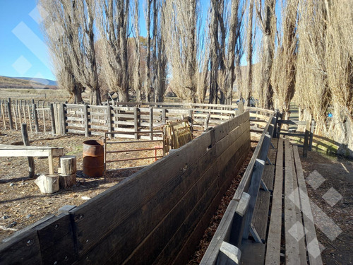 Venta De Estancia En Ruta Provincial 21, Kilómetro 31, Departamento Picunches, Paraje Huarenchenque