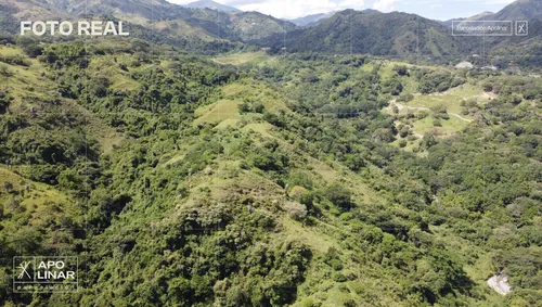 Proyecto De Lotes En San Jerónimo