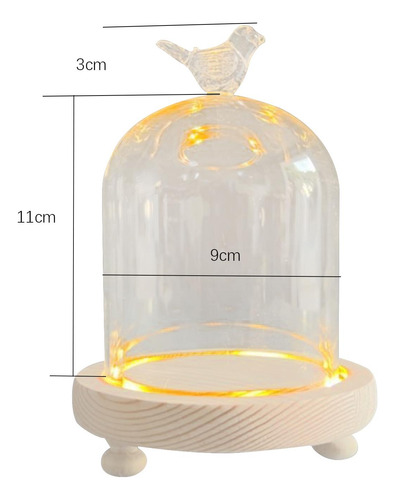 Cristal Transparente Cloche Dome Showcase 9x11cm Pájaro