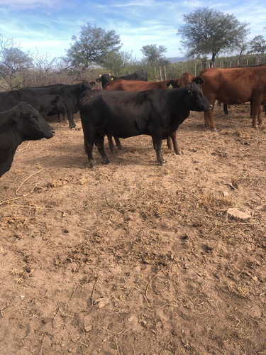 Se Vende Campo En Santa Ana Cordoba