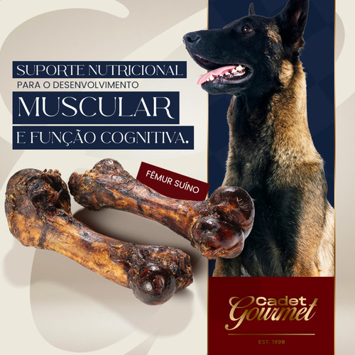 Kit 10 Fêmur Suína Osso Natural Desidratada Para Cães Cadet