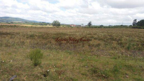 Imagen 6 de 8 de Venta Chacra En El Límite De Maldonado Y Lavalleja.