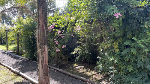 Imagen 6 de 30 de Complejo Turistico En Barrio El Bosque