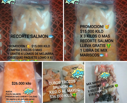 Salmon Recortes