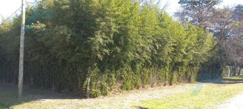 Venta De Terreno En La Lonja Pilar 720 Mtros