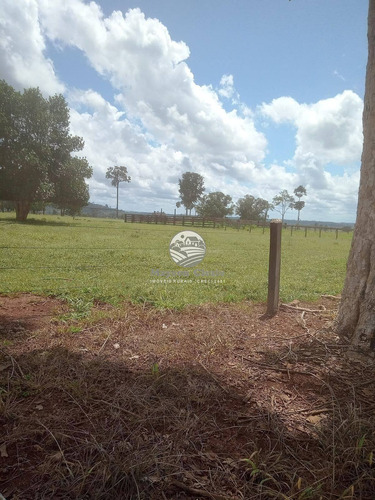Imagem 2 de 12 de Venda Sítio Machadinho D'oeste Em Rondônia - Sia337