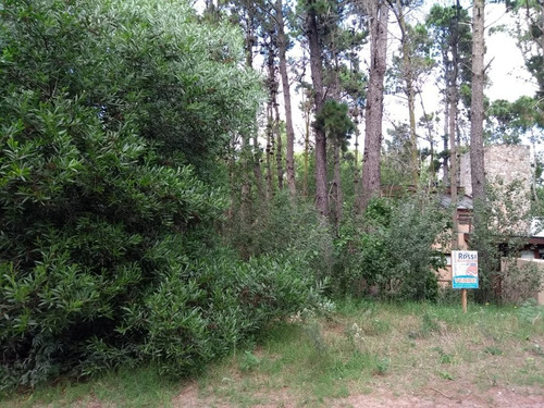 Imagen 2 de 4 de Terreno En Mar Azul