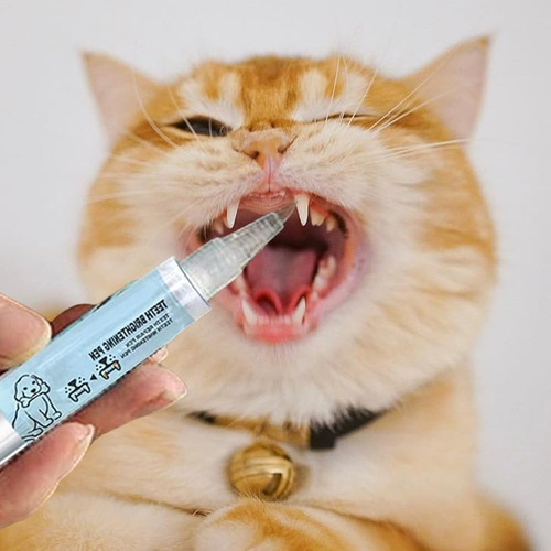Kit De Reparación De Dientes Para Mascotas, Jeringas Blanque