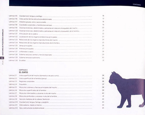 Atlas De Anatomía De Pequeños Animales, Conceptos Básicos