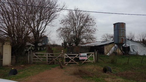 Imagen 4 de 4 de Chacra - Carmen De Areco