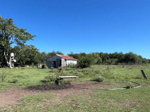 Campo En Venta De 36, 7 Hectáreas Con Manga, Potrero, Molino, Corrales