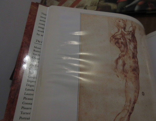 Lote 8 Libros Arte Paisajes Goya Manet Naive Con Detalles (Usado)