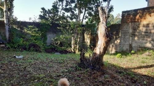Imagem 10 de 13 de Casa Na Praia Com 3 Quartos, Boa Localização.