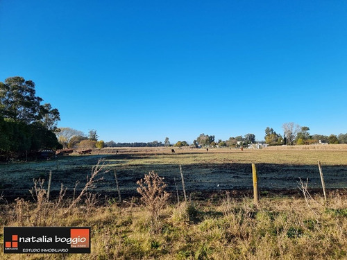 Imagen 7 de 11 de Lote En Santa Irene Miramar A 200 Mts De La Ruta 77 De 418 Mts2 V4640