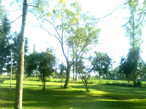 Terreno - Recreo