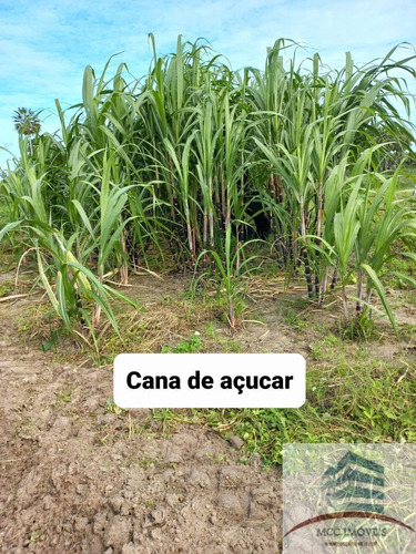 Imagem 14 de 18 de Chácara A Venda Lagoa Das Pedras, Povoado Mandú