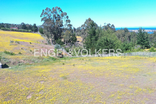 Excelente Terreno En Punta De Lobos