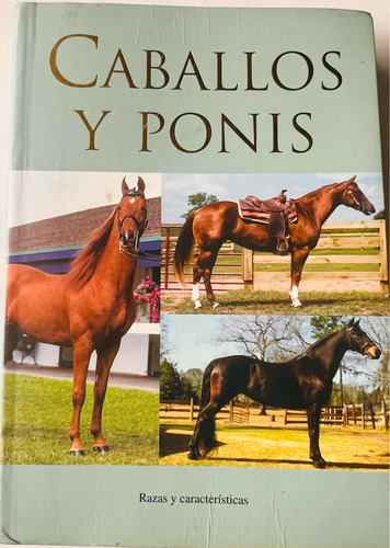 Caballos Y Ponis