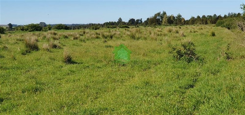 Imagen 4 de 5 de Agricola Venta Las Lomas, Río Maullin Puerto Montt