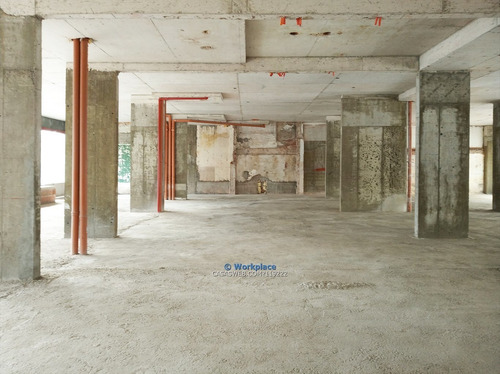 Imagen 11 de 22 de Local Comercial O Oficina - Barrio Sur - Alquiler Cw119222