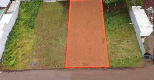 Imagem 3 de 6 de Te0011 - Terreno Á Venda No Centro De Foz Do Iguaçu - Pr - Te0011