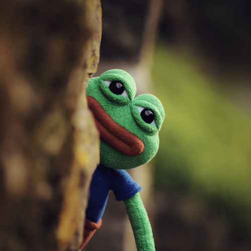 Hashtag Pepe The Frog Coleccionable - Mueco De Felpa Oficial