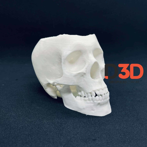 Imagen 3 de 8 de Mate Calavera