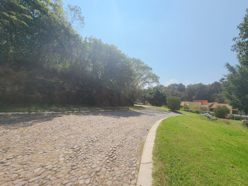 Venta Lote Glorieta Iii Muy Cerca Del Acceso Y De Las Amenidades Sobre Boulevard Fracc Rancho San Diego Ixtapan De La Sal Edomex