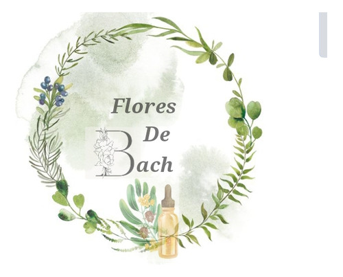 Flores De Bach Terapeuta Floral 