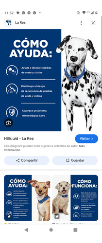 Hills U/d Alimento Uriny Para Perros