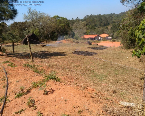 Imagem 5 de 11 de Terreno - Te00147 - 68899696