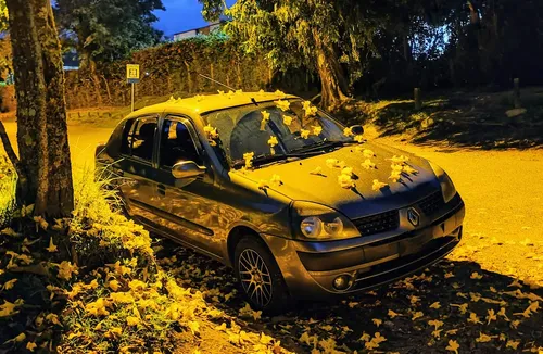 Renault Symbol 1.4 Expression