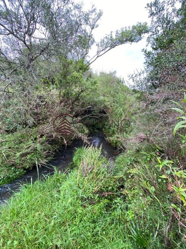 Imagen 4 de 4 de Venta De Campo, Maldonado - Mataojo - 33hs - Zona Rural