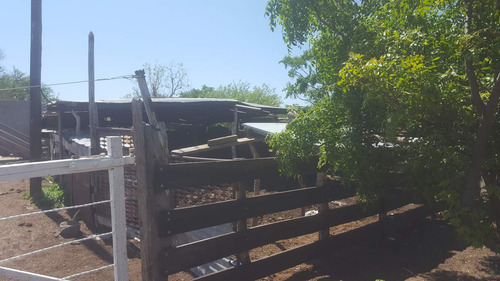 Campo En Venta Villa Quilino - Campo Ganadero Con 2 Casas