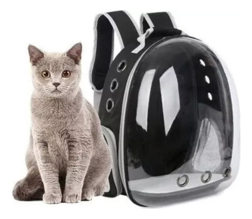 Mochila De Viaje Para Gatos Sacrificesports