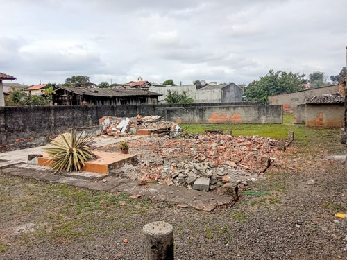 Imagem 6 de 10 de Terreno - Sao Sebastiao - Ref: 31829 - V-31826