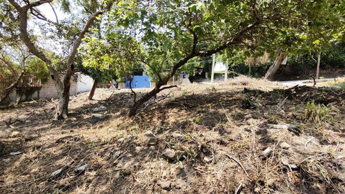 Imagen 12 de 23 de Terreno Venta Fraccionamiento Club De Golf Sta. Fe. M7 L1