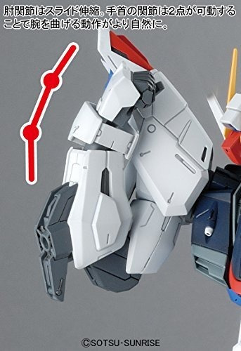 Kit De Construcción Bandai Hobby Mg Freedom Gundam Versión