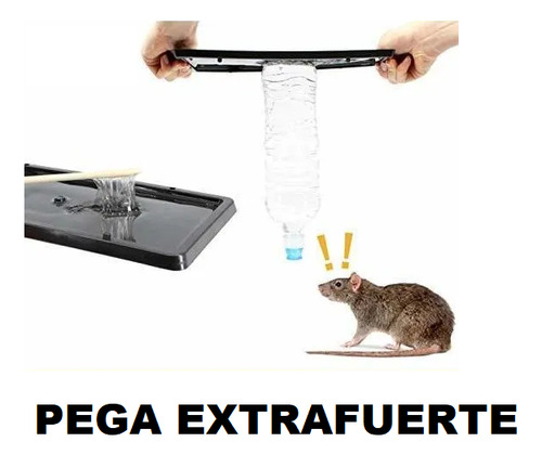 Pega Trampa Atrapa Mata Ratones Ratas Roedores Insectos