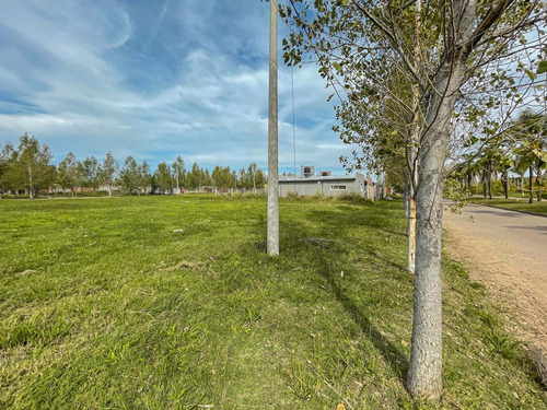 Imagen 8 de 12 de Lote Sobre Boulevard Principal Apto Comercial