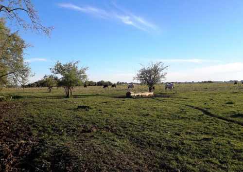 Campo En Alquiler En Punta Indio - 569 Hectáreas