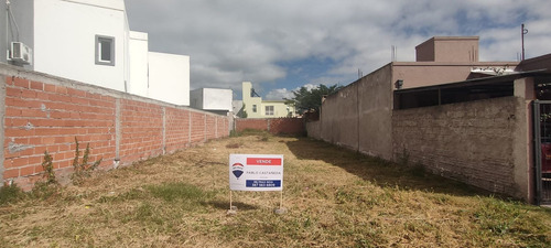 Imagen 2 de 2 de Terreno Venta Estacion Alvarado 300m2