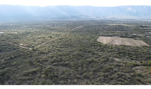 Campo De 20 Hectareas En Venta En La Paz, Traslasierra