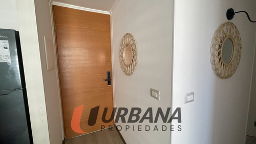 Pacifico 3100 Arriendo 2d2b Año Corrido Amoblado