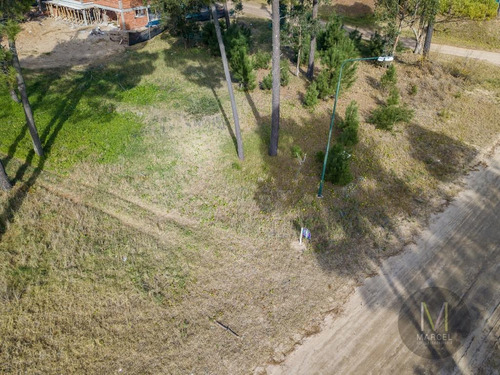 Imagen 4 de 13 de Lote En Venta - Alamos Ii - Pinamar