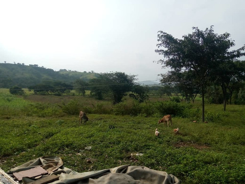 Imagen 12 de 28 de Finca En Venta En El Estado Guarico