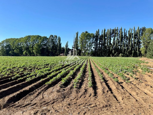 Parcela En Venta En Lautaro